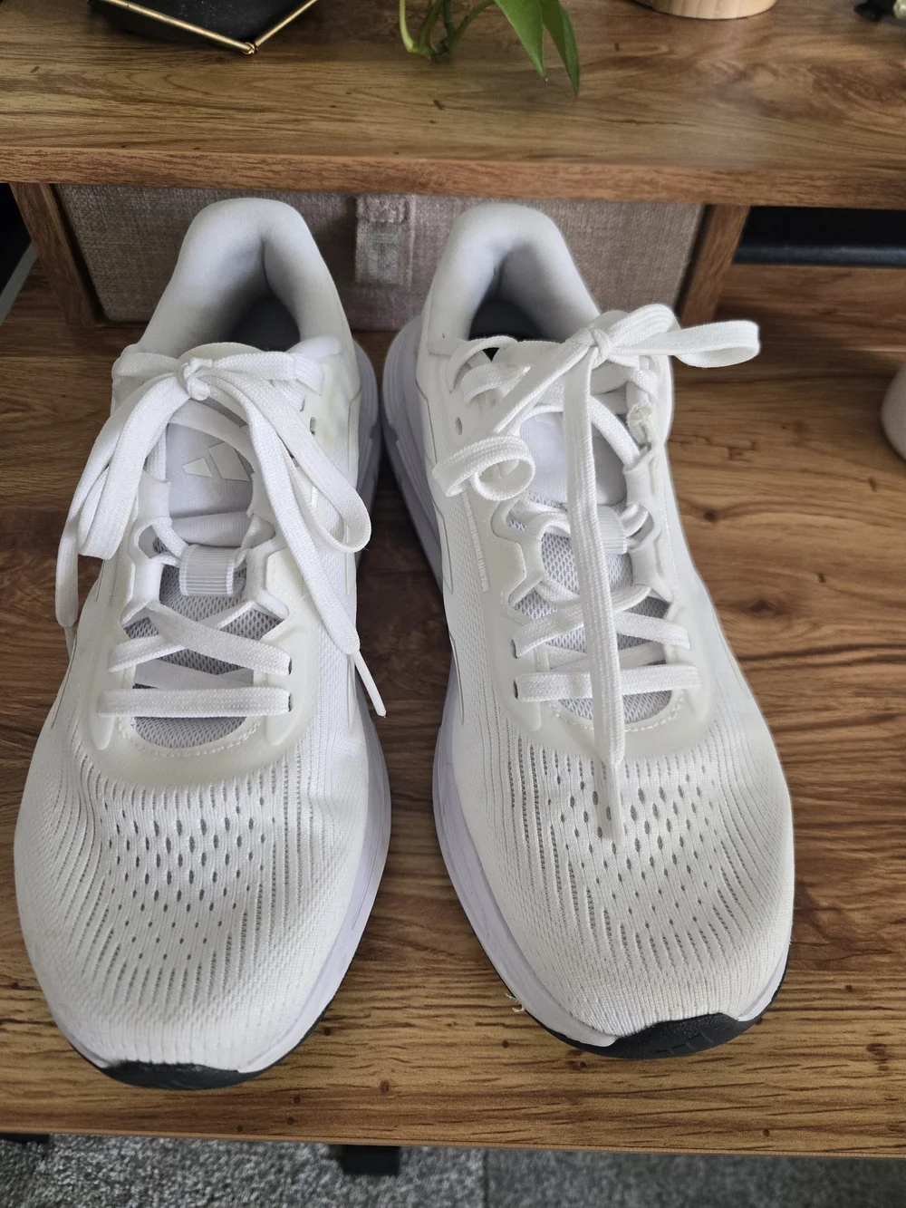 adidas Questar Women's Shoes — White
